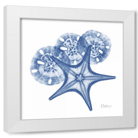 Cerulean Starfish and Sand Dollar 2 White Modern Wood Framed Art Print by Koetsier, Albert