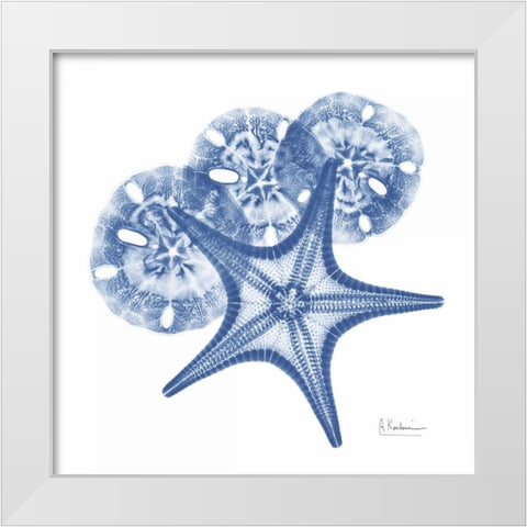 Cerulean Starfish and Sand Dollar 2 White Modern Wood Framed Art Print by Koetsier, Albert