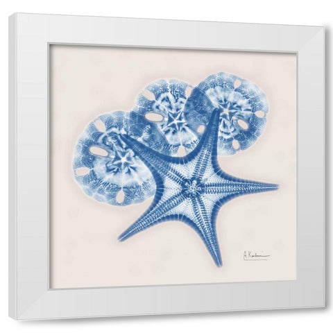 Cerulean Starfish and Sand Dollar White Modern Wood Framed Art Print by Koetsier, Albert