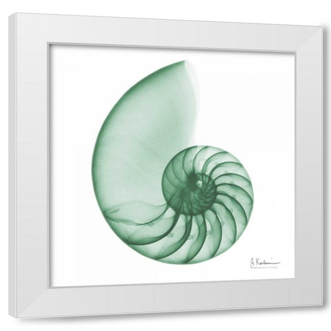 Jade Water Snail 2 White Modern Wood Framed Art Print by Koetsier, Albert