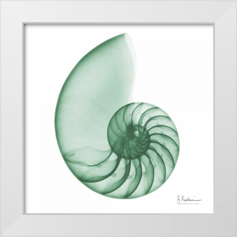 Jade Water Snail 2 White Modern Wood Framed Art Print by Koetsier, Albert