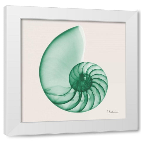 Jade Water Snail White Modern Wood Framed Art Print by Koetsier, Albert