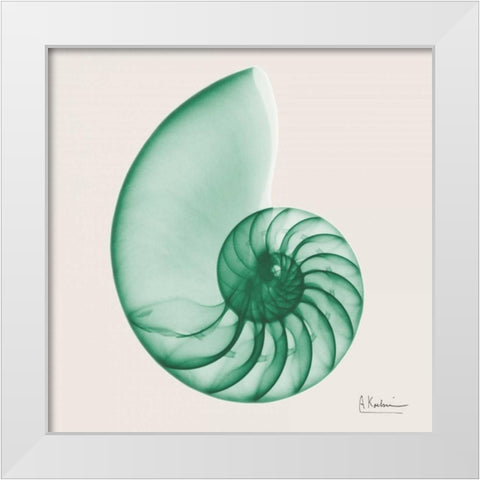 Jade Water Snail White Modern Wood Framed Art Print by Koetsier, Albert