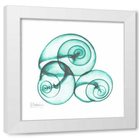 Shamrock Sky Snails 2 White Modern Wood Framed Art Print by Koetsier, Albert