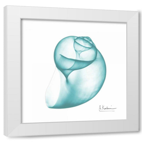 Viridian Water Snail 2 White Modern Wood Framed Art Print by Koetsier, Albert