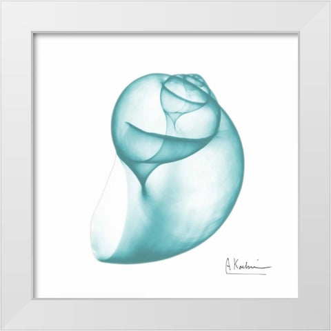 Viridian Water Snail 2 White Modern Wood Framed Art Print by Koetsier, Albert