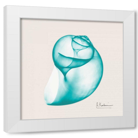Viridian Water Snail White Modern Wood Framed Art Print by Koetsier, Albert