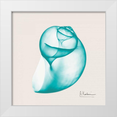 Viridian Water Snail White Modern Wood Framed Art Print by Koetsier, Albert