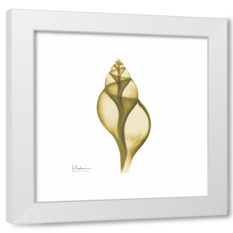 Genie Tulip Shell 2 White Modern Wood Framed Art Print by Koetsier, Albert