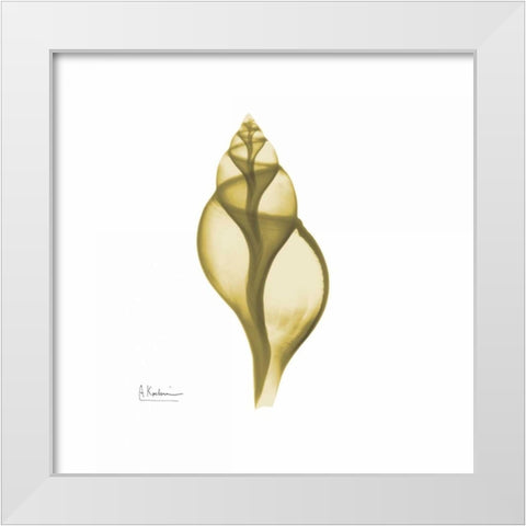 Genie Tulip Shell 2 White Modern Wood Framed Art Print by Koetsier, Albert