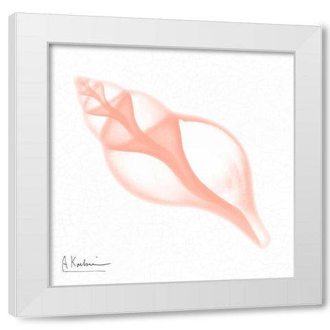 Dry Shell Peach White Modern Wood Framed Art Print by Koetsier, Albert