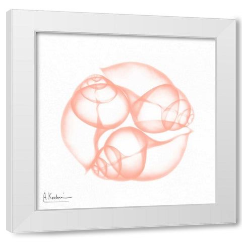 Dry Snail Peach White Modern Wood Framed Art Print by Koetsier, Albert