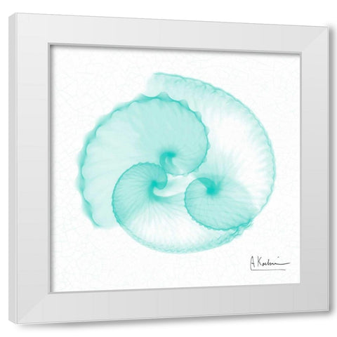 Dry Argonaut Seafoam White Modern Wood Framed Art Print by Koetsier, Albert