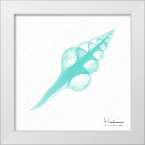 Dry Fusinus Colus Seafoam White Modern Wood Framed Art Print by Koetsier, Albert