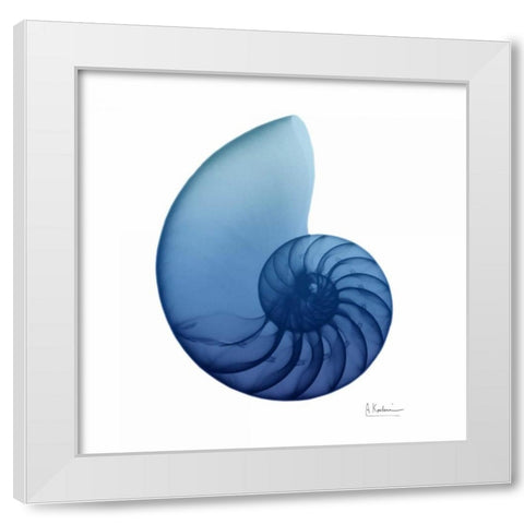 Scenic Water Snail 3 White Modern Wood Framed Art Print by Koetsier, Albert