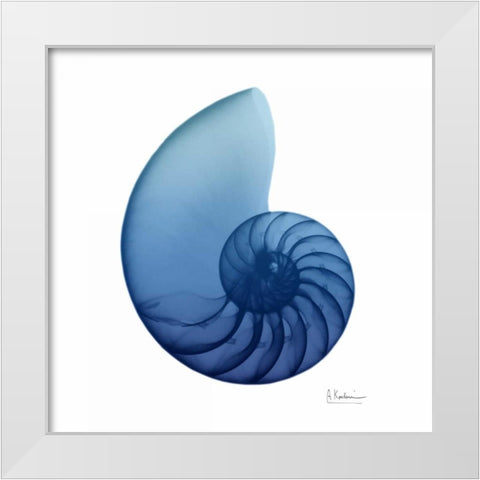 Scenic Water Snail 3 White Modern Wood Framed Art Print by Koetsier, Albert