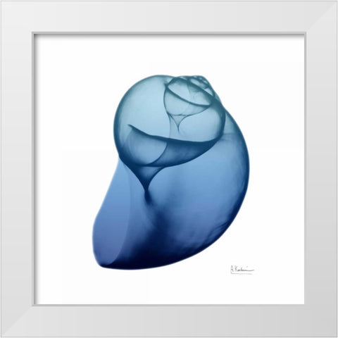 Scenic Water Snail 4 White Modern Wood Framed Art Print by Koetsier, Albert