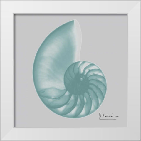 Aquifer Sea Shell White Modern Wood Framed Art Print by Koetsier, Albert