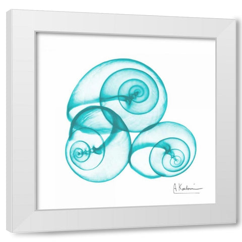 Turquoise Sky Snails White Modern Wood Framed Art Print by Koetsier, Albert