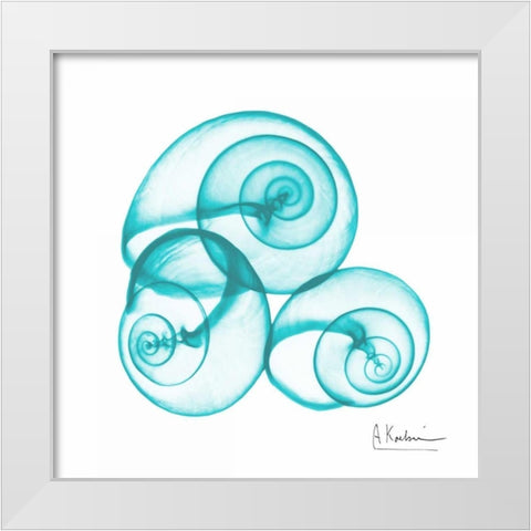 Turquoise Sky Snails White Modern Wood Framed Art Print by Koetsier, Albert