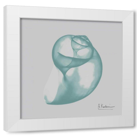 Aquifer Water Snail White Modern Wood Framed Art Print by Koetsier, Albert