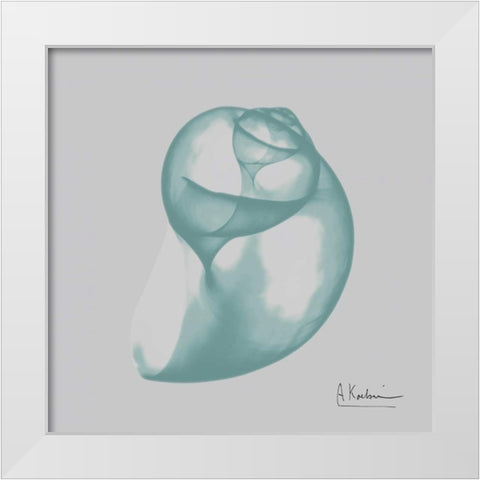 Aquifer Water Snail White Modern Wood Framed Art Print by Koetsier, Albert