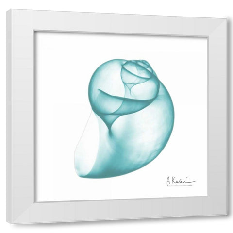 Turquoise Water Snail White Modern Wood Framed Art Print by Koetsier, Albert