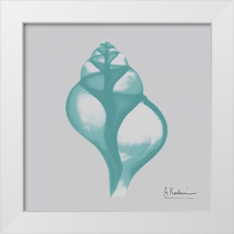 Aquifer Tulip Shell White Modern Wood Framed Art Print by Koetsier, Albert