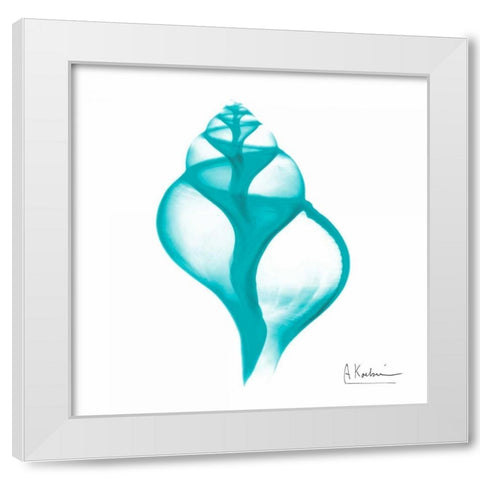 Turquoise Tulip Shell White Modern Wood Framed Art Print by Koetsier, Albert