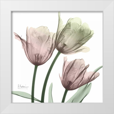 Natural Luster Tulips 1 White Modern Wood Framed Art Print by Koetsier, Albert