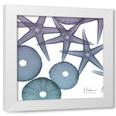 Lavender Dipped Starfish 2 White Modern Wood Framed Art Print by Koetsier, Albert