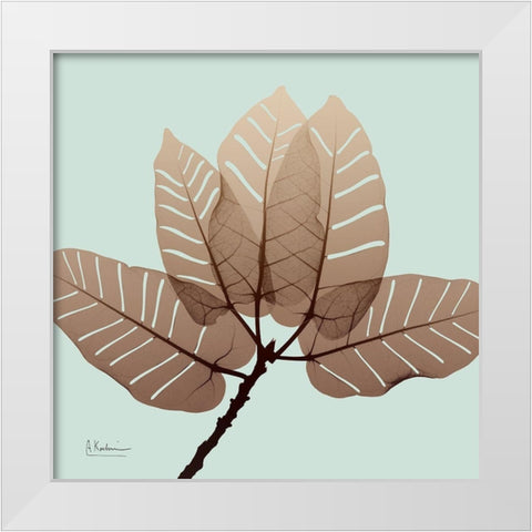 Chopped Ficus Burkey White Modern Wood Framed Art Print by Koetsier, Albert