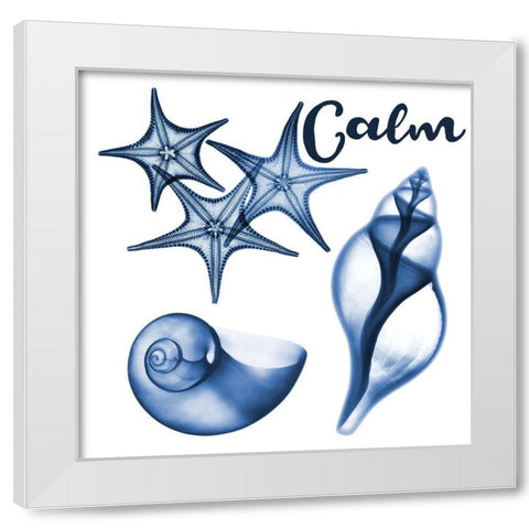 Calm Sealife White Modern Wood Framed Art Print by Koetsier, Albert