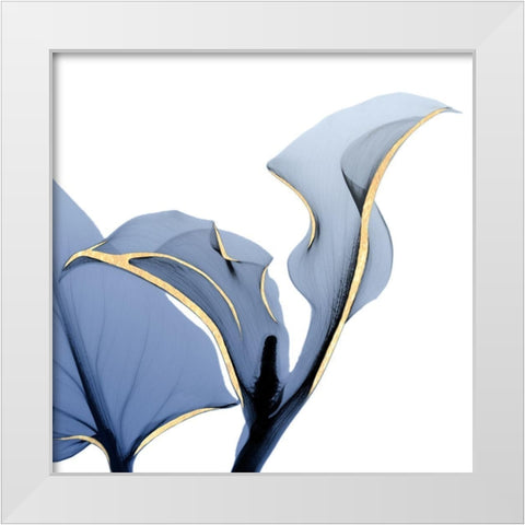 Moonlit Calla Lily White Modern Wood Framed Art Print by Koetsier, Albert