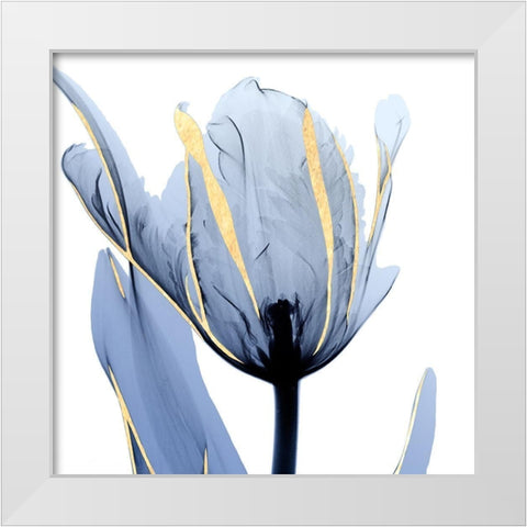 Moonlit Tulip White Modern Wood Framed Art Print by Koetsier, Albert