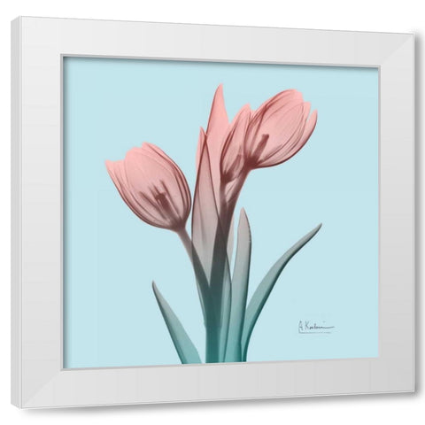 Awakening Tulips 1 White Modern Wood Framed Art Print by Koetsier, Albert