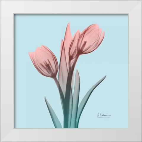 Awakening Tulips 1 White Modern Wood Framed Art Print by Koetsier, Albert