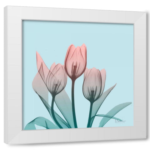 Awakening Tulips 2 White Modern Wood Framed Art Print by Koetsier, Albert