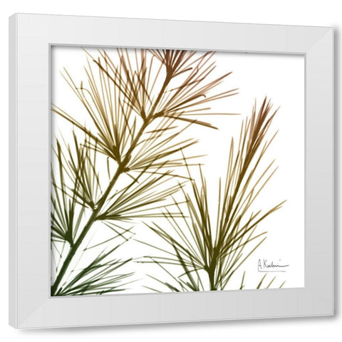 Fall Sequoia White Modern Wood Framed Art Print by Koetsier, Albert