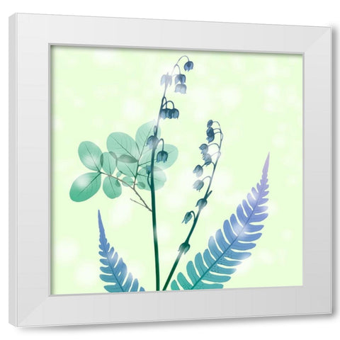 Brilliant Bloom White Modern Wood Framed Art Print by Koetsier, Albert