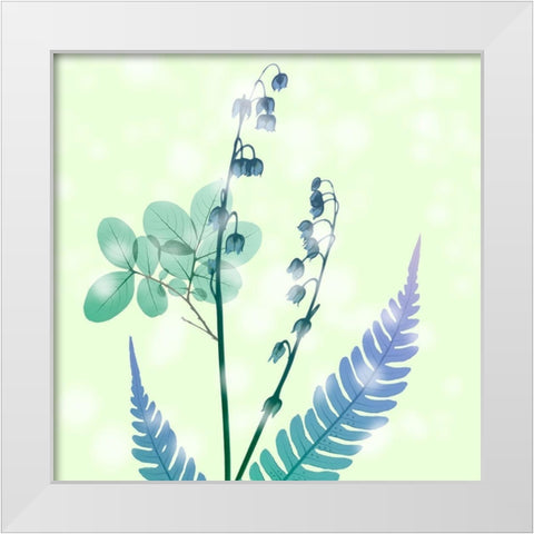 Brilliant Bloom White Modern Wood Framed Art Print by Koetsier, Albert