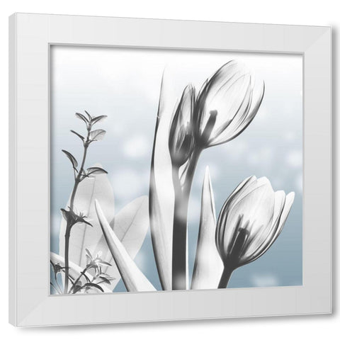 Heavenly Growth White Modern Wood Framed Art Print by Koetsier, Albert