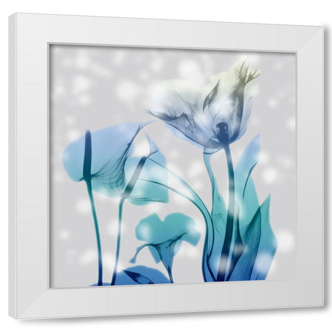 Morning Desire White Modern Wood Framed Art Print by Koetsier, Albert