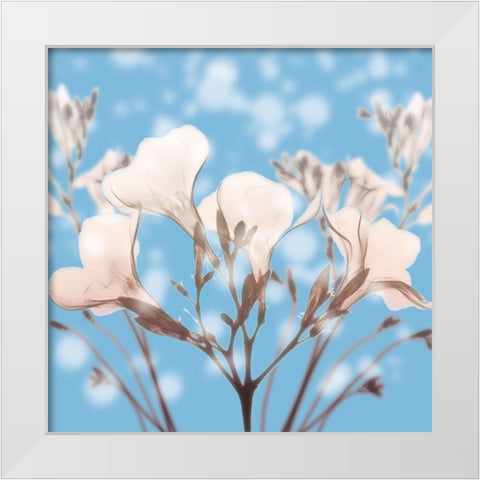 Ocean Oleander White Modern Wood Framed Art Print by Koetsier, Albert