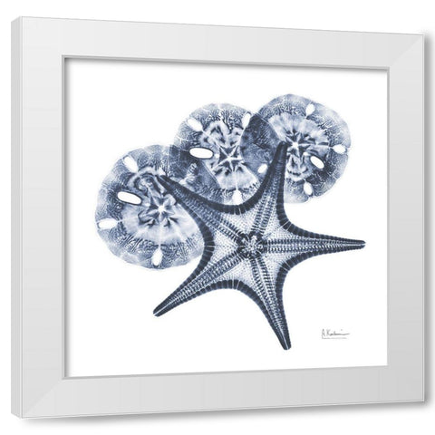 Indigo Starfish and Sand Dollar White Modern Wood Framed Art Print by Koetsier, Albert