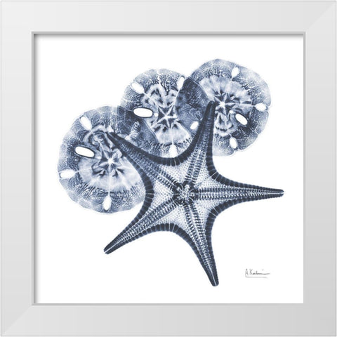 Indigo Starfish and Sand Dollar White Modern Wood Framed Art Print by Koetsier, Albert