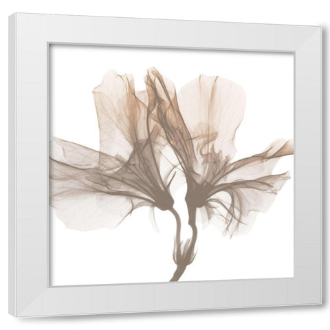 Dry Azalea 1 White Modern Wood Framed Art Print by Koetsier, Albert