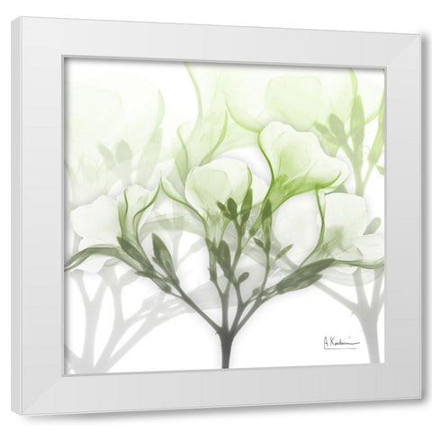 Seasoned Oleander White Modern Wood Framed Art Print by Koetsier, Albert