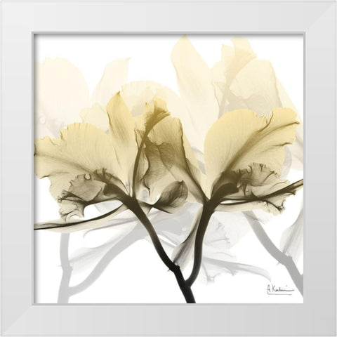 Flaxen Orchid White Modern Wood Framed Art Print by Koetsier, Albert