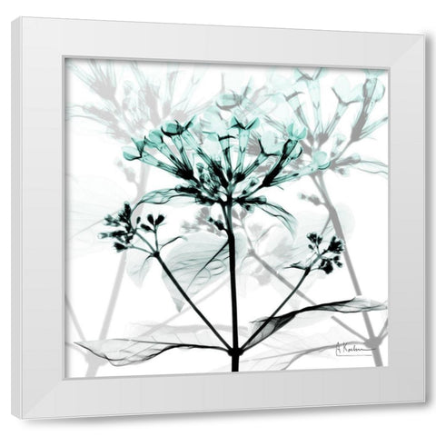 Crystalized Floral White Modern Wood Framed Art Print by Koetsier, Albert